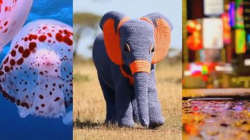 Çinli araştırmacılardan yapay zekada çığır açan görüntü üretim tekniği