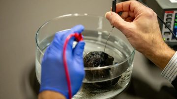 Bilim dünyası karanlık oksijenin peşinde; Teyit etmek için 11 km derinliğe inilecek