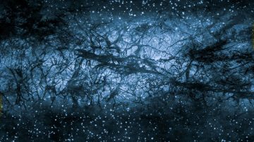 Kozmolojide sürpriz sav: Karanlık husus ve nötrinolar etkileşime giriyor olabilir