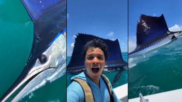 Yapay zeka mı gerçek mi? Mavi marlin müsabakası viral oldu