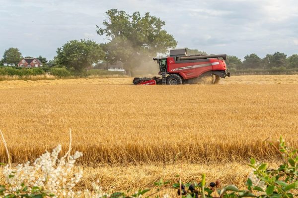 Saklı açlık kapıda mı? Atmosfer kirliliği besinleri ‘zehirliyor’