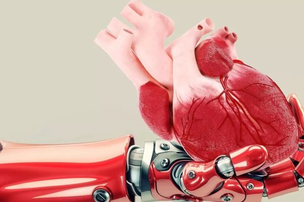 Yapay zeka, organ naklinde erken risk tespit periyodunu başlatıyor